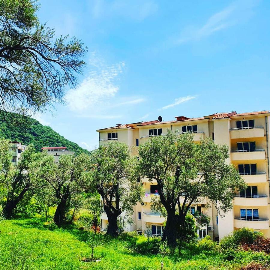 Ferienwohnung Panorama Petrovac na moru Exterior foto